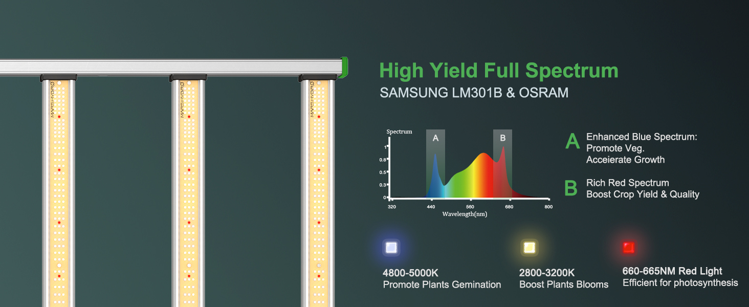 fc1000w wifi