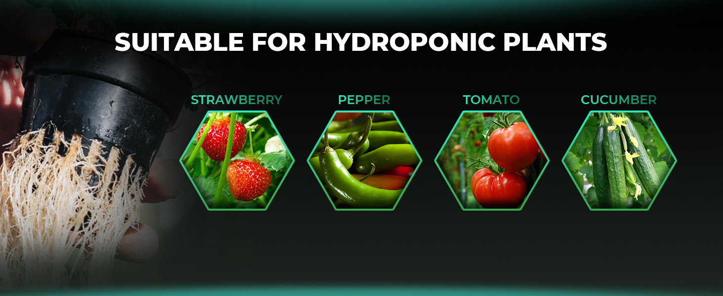 HYDROPONIC