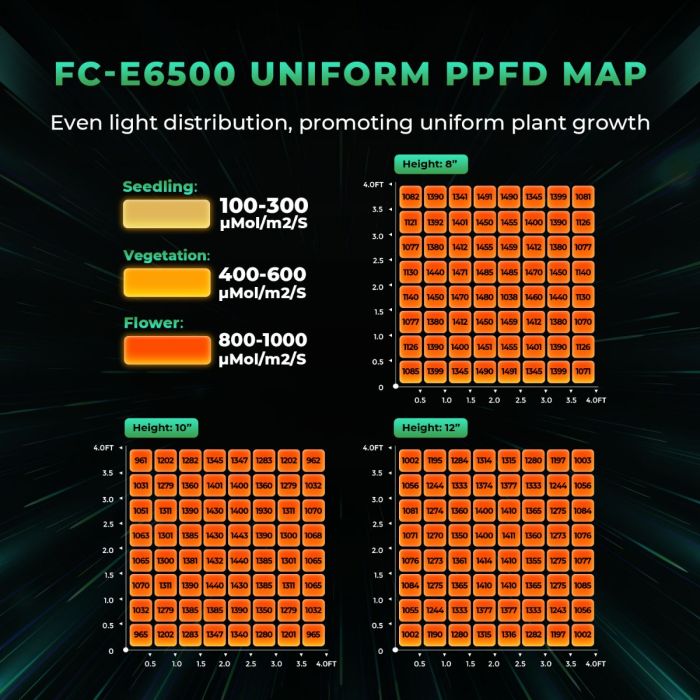 fce6500