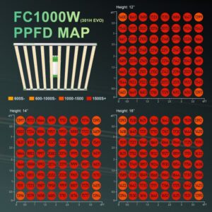 fc1000